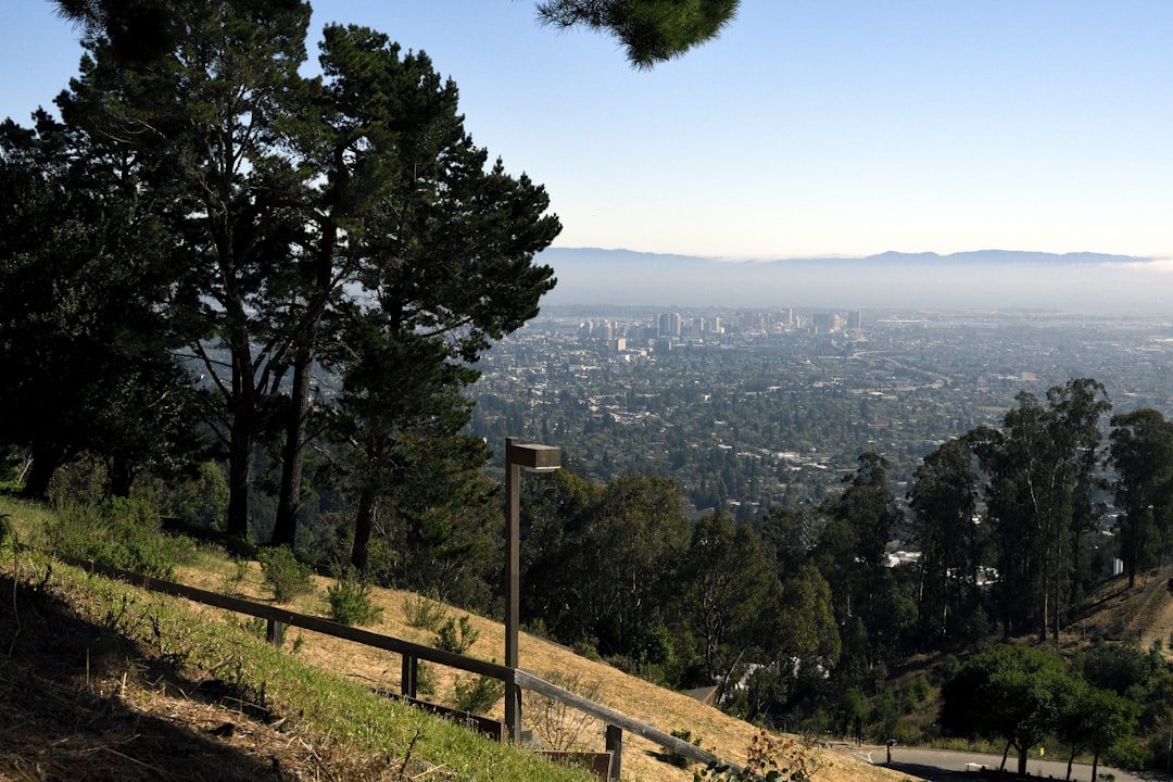 Berkeley Bay Area Summer Guide 7 Hidden Gems to Explore During Onli… — Berkeley Bay Area Summer Guide 7