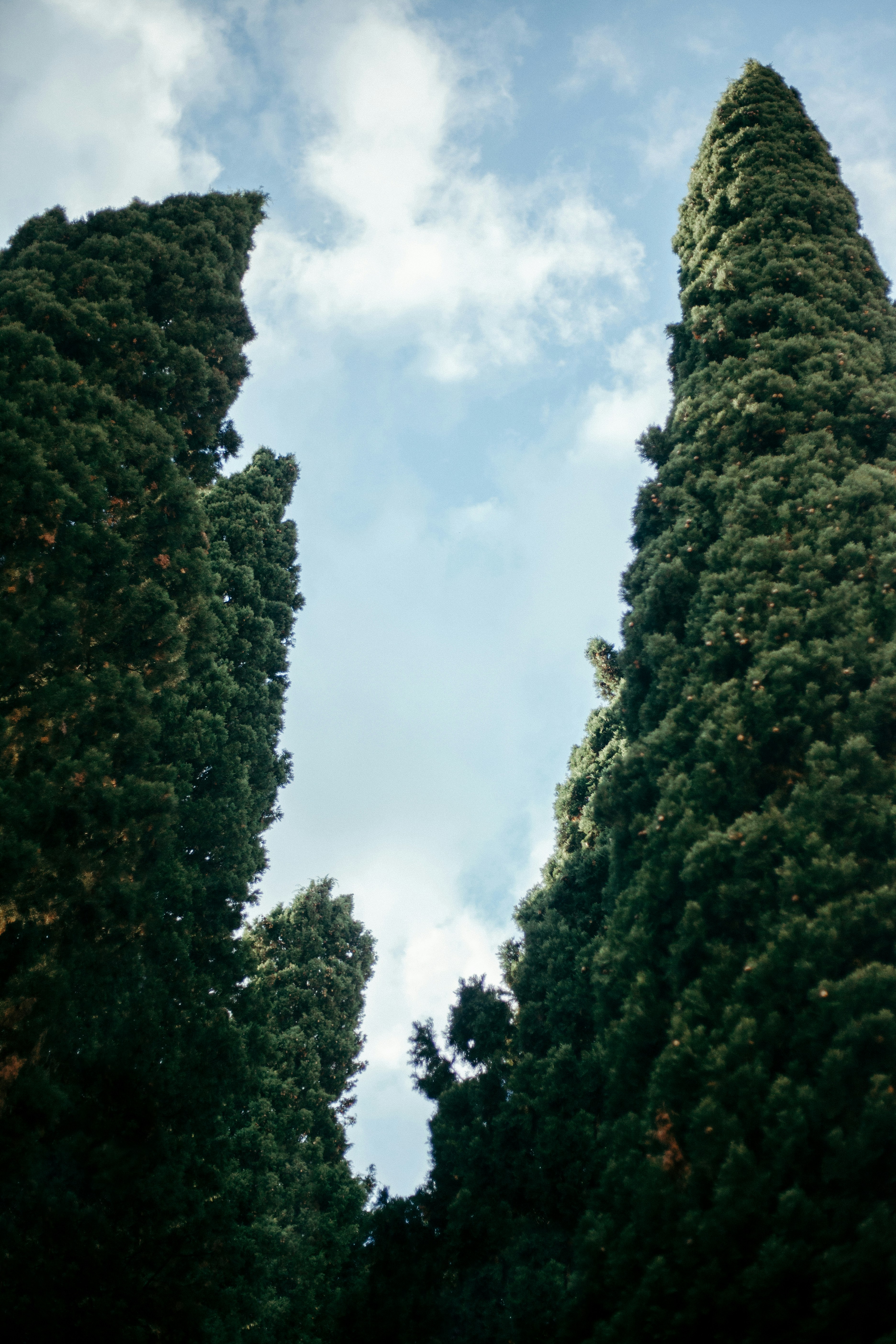 Photo by reallygoodjames