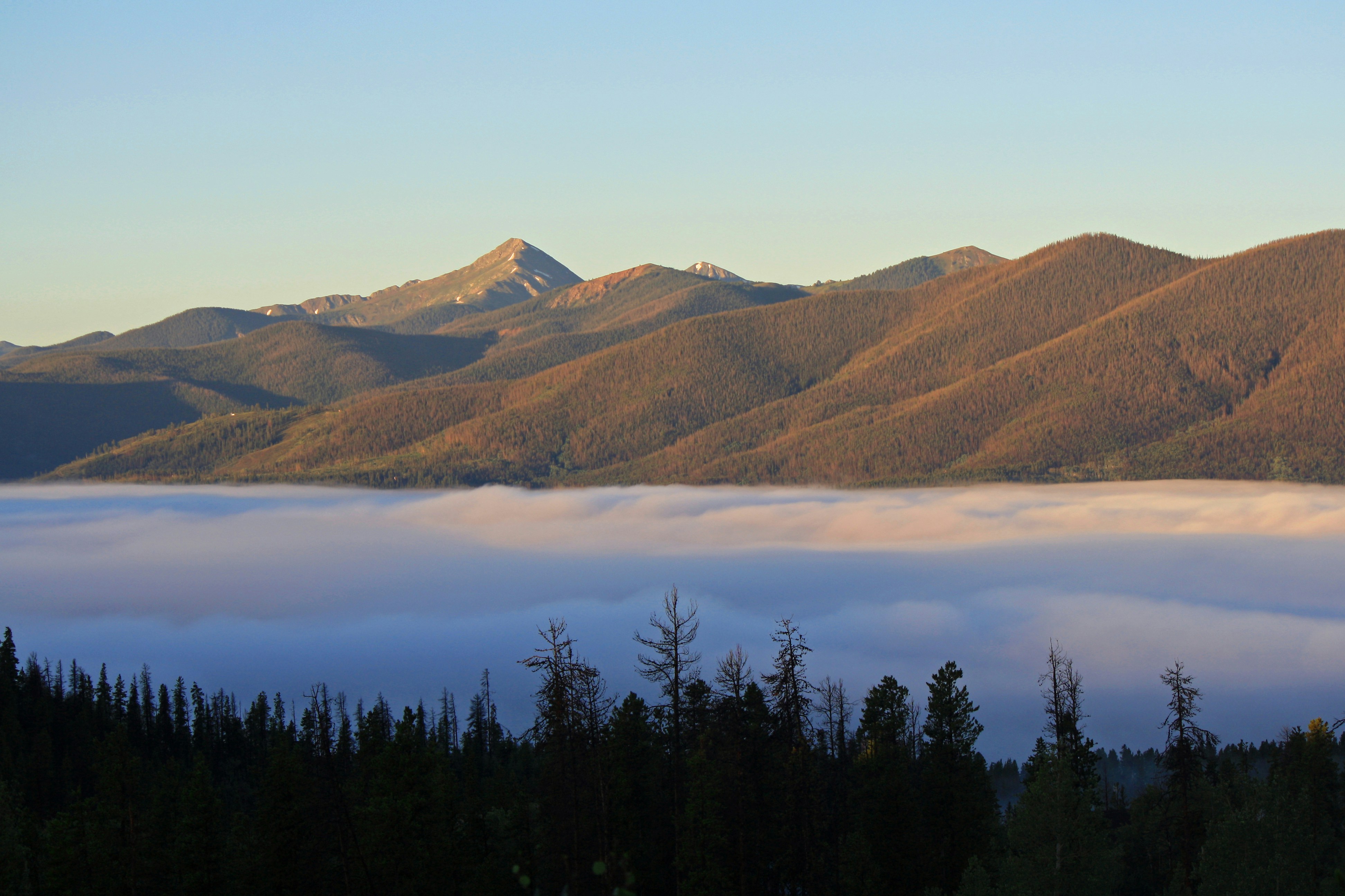 green pine trees near brown mountain during daytime