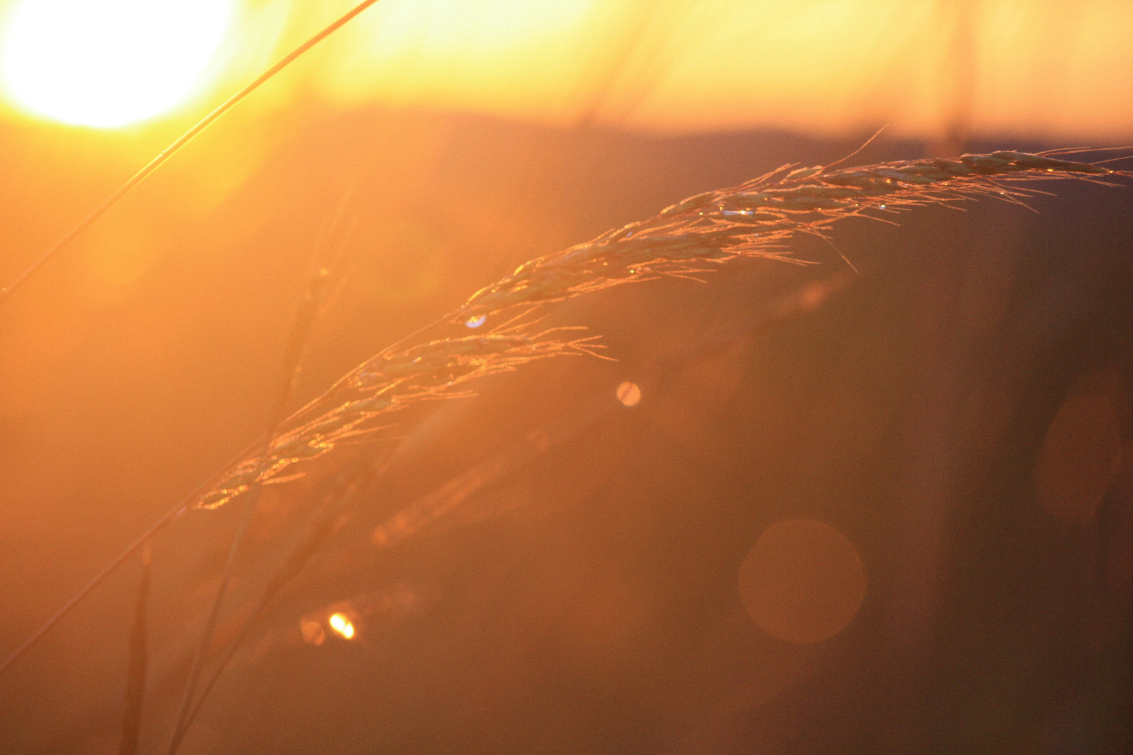 Once upon a recovery: the real magic of rest, repair, and supercompensation.