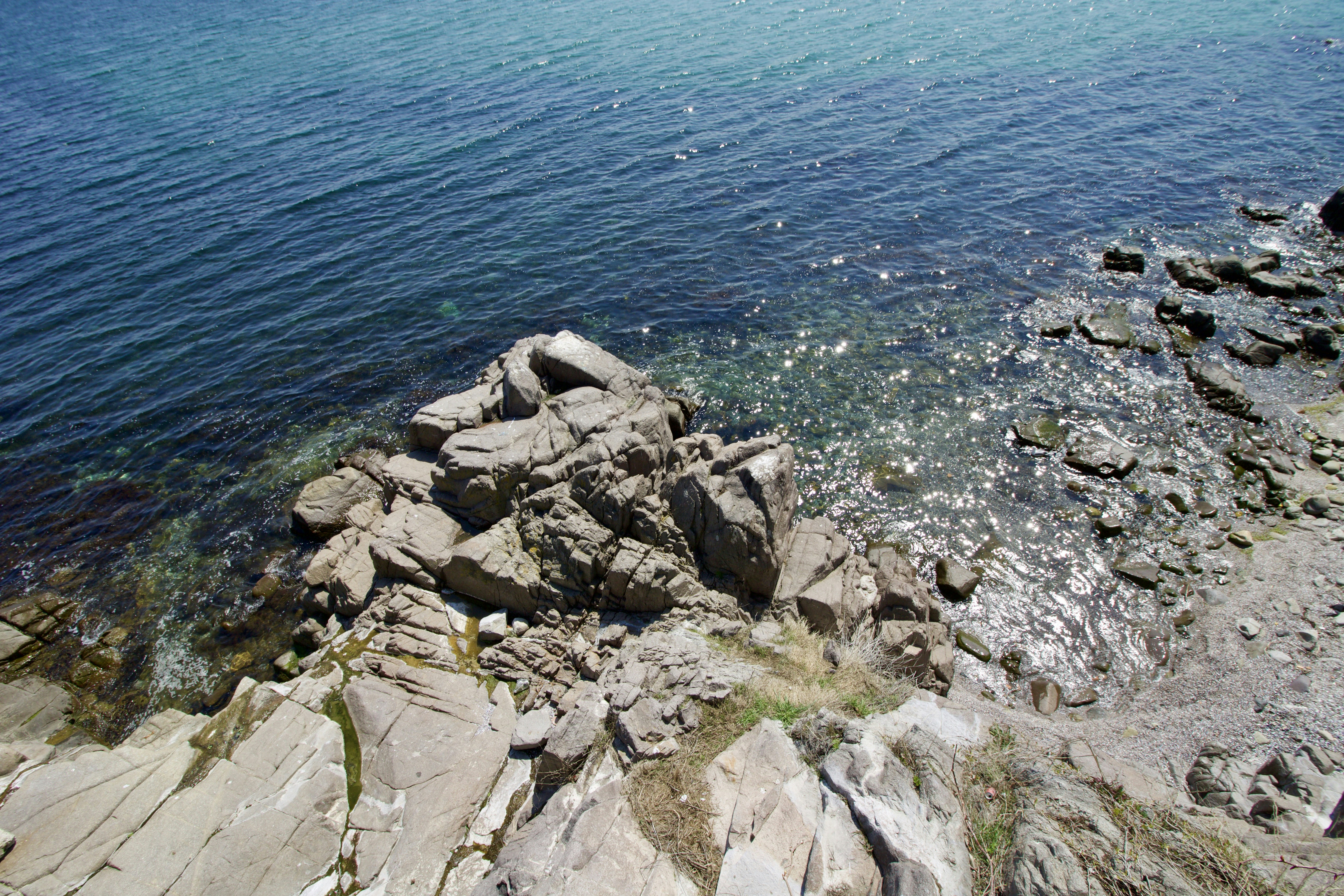 gray rocky shore during daytime