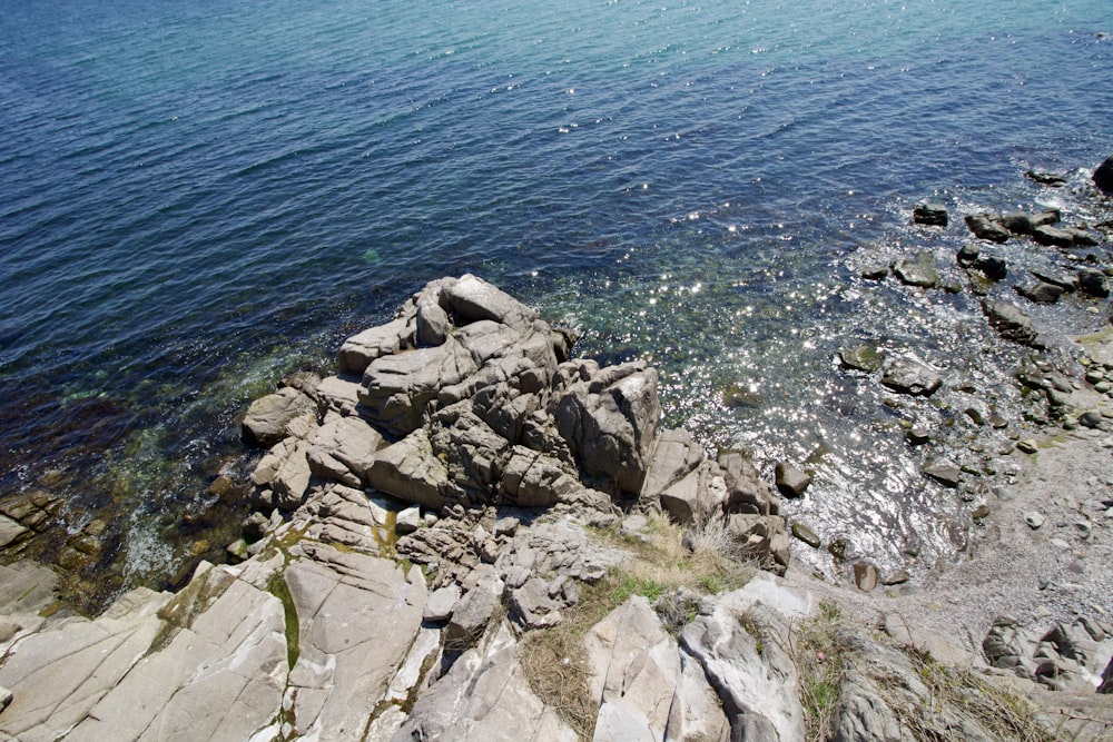 gray rocky shore during daytime