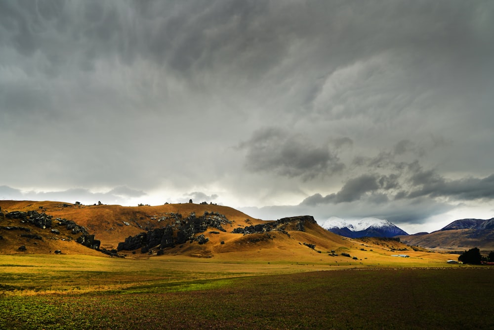 brown field under gray clouds