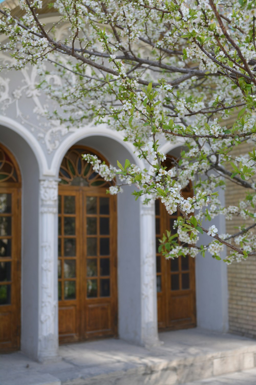 brown wooden door with white flowers