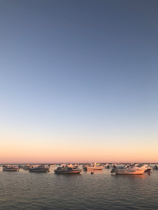 boats on sea during sunset in Faro Portugal