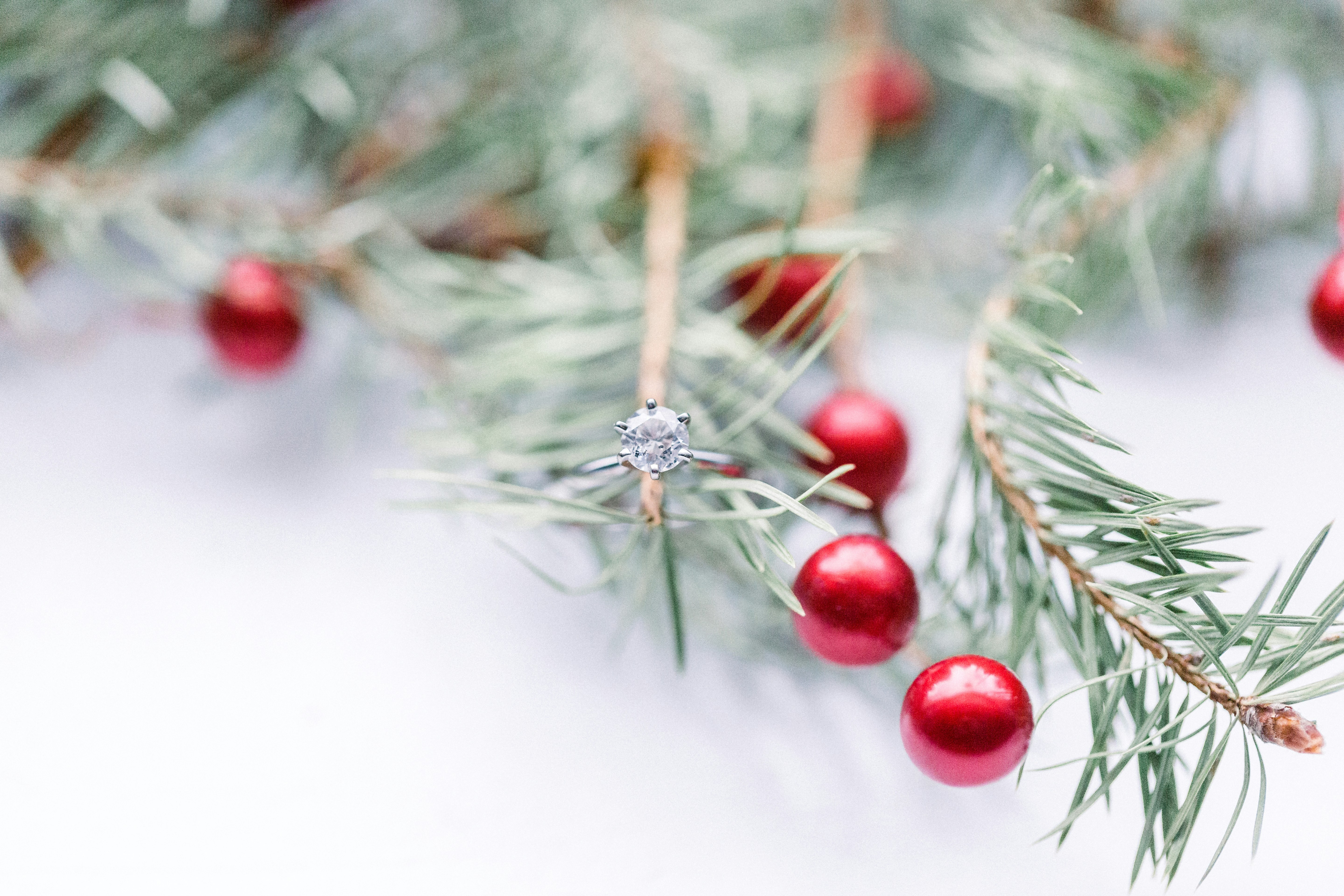 frutti rotondi rossi su tessuto bianco