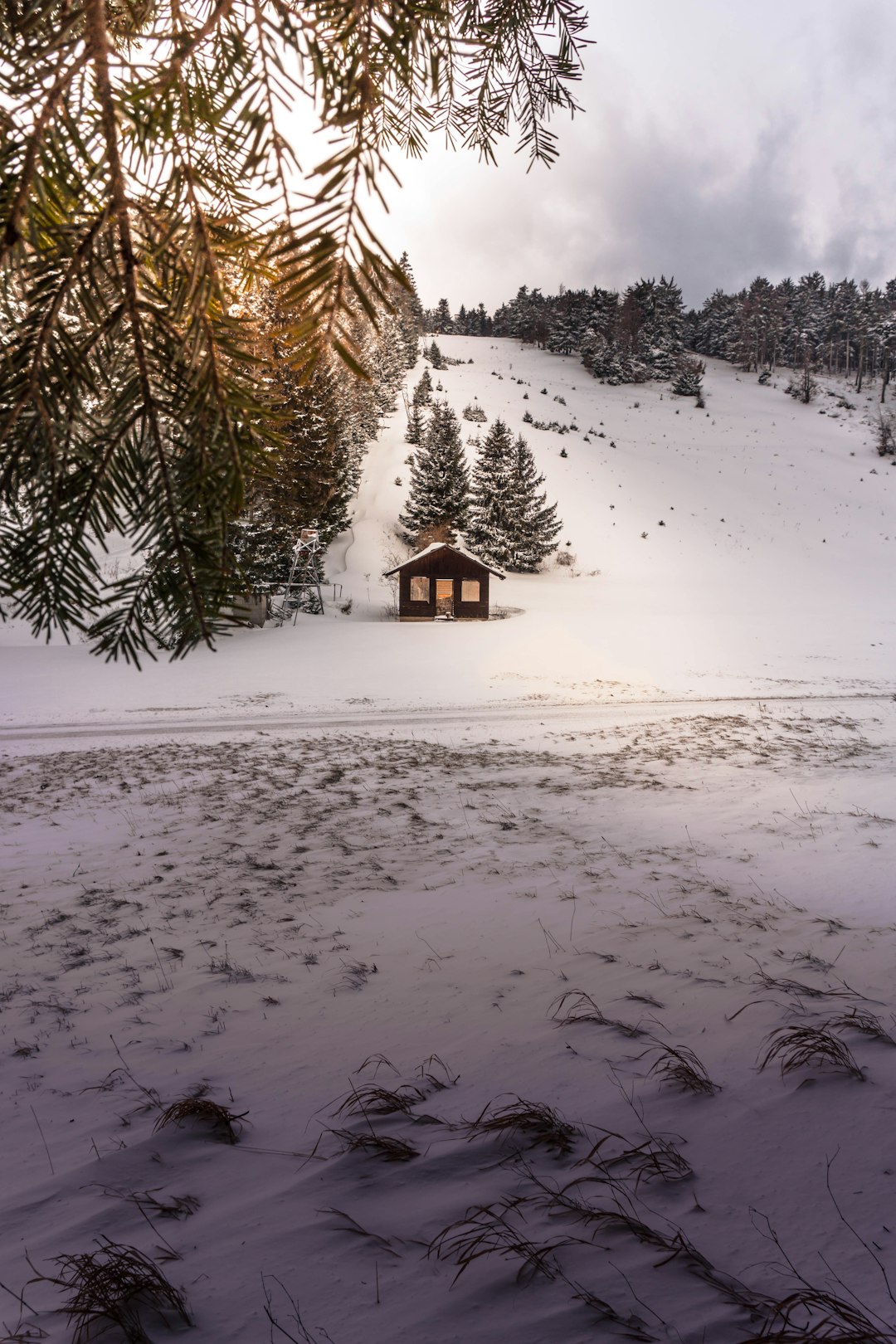 Natural landscape photo spot Hohe Wand Rax