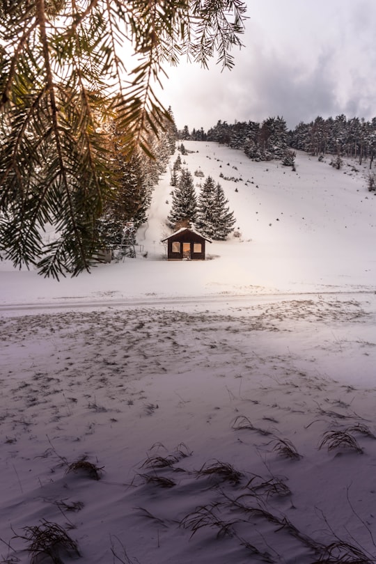 brown wooden house on snow covered ground in Hohe Wand Austria