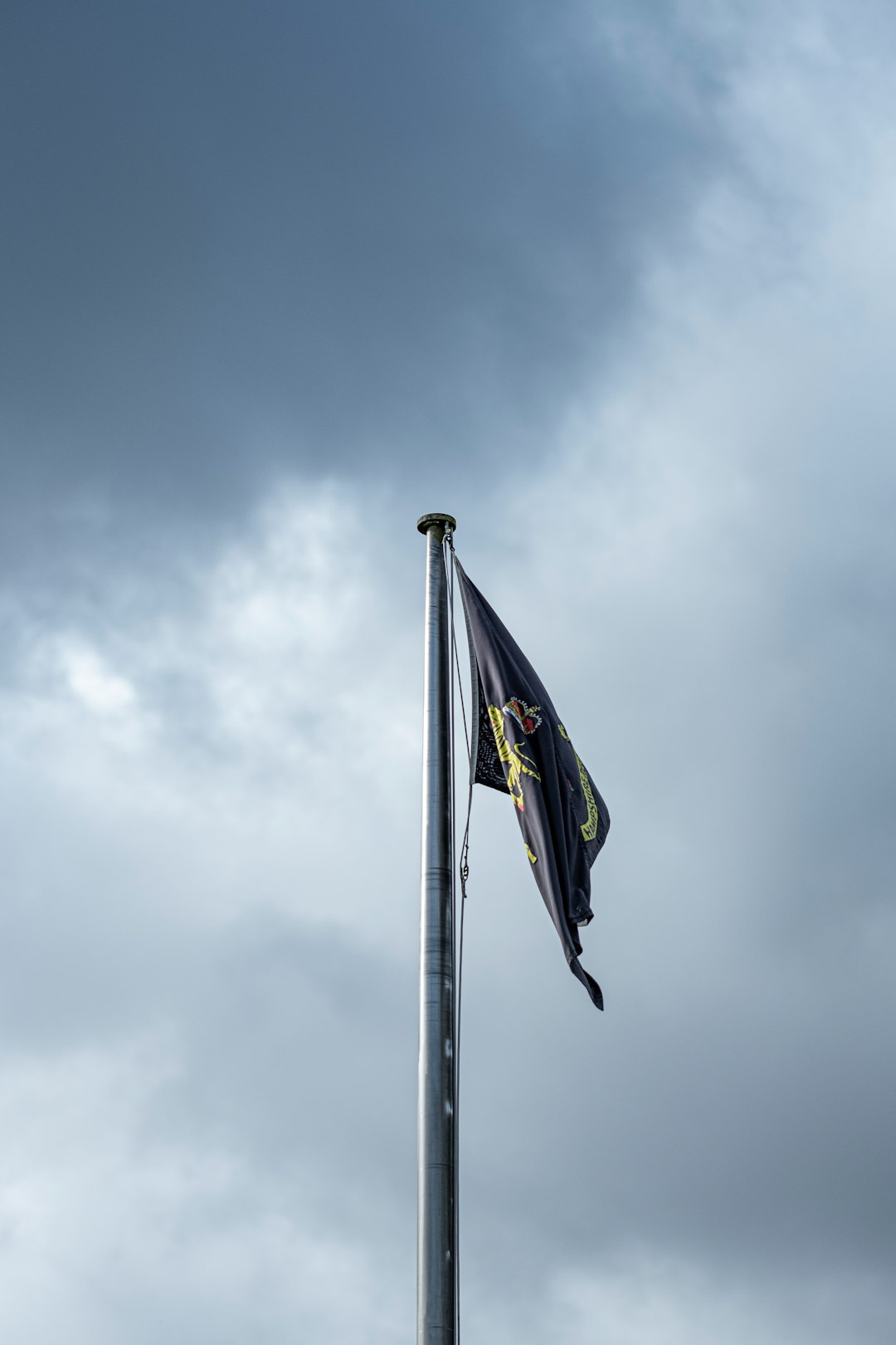 blue and yellow flag under cloudy sky during daytime