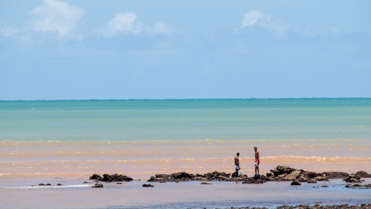 people on beach during daytime in João Pessoa Brasil