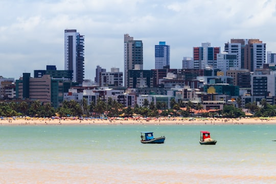 people on beach during daytime in João Pessoa Brasil