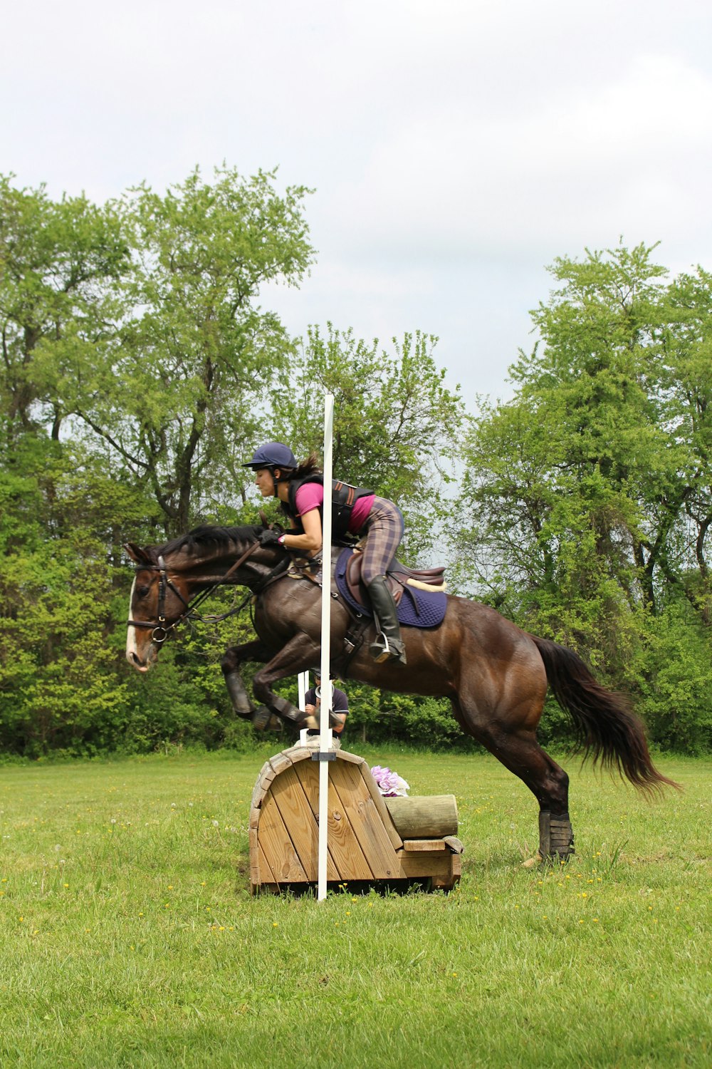 man in green and brown camouflage jacket riding brown horse during daytime