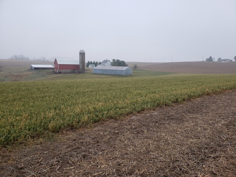A vast farmland landscape with a red barn and a tall silo at its center. There are several agricultural buildings, including a white farmhouse and another outbuilding with a metal roof. The foreground shows a green field, possibly of crops, with bare soil at its edge. The sky is overcast and gray, surrounding the scene with a misty and serene atmosphere.