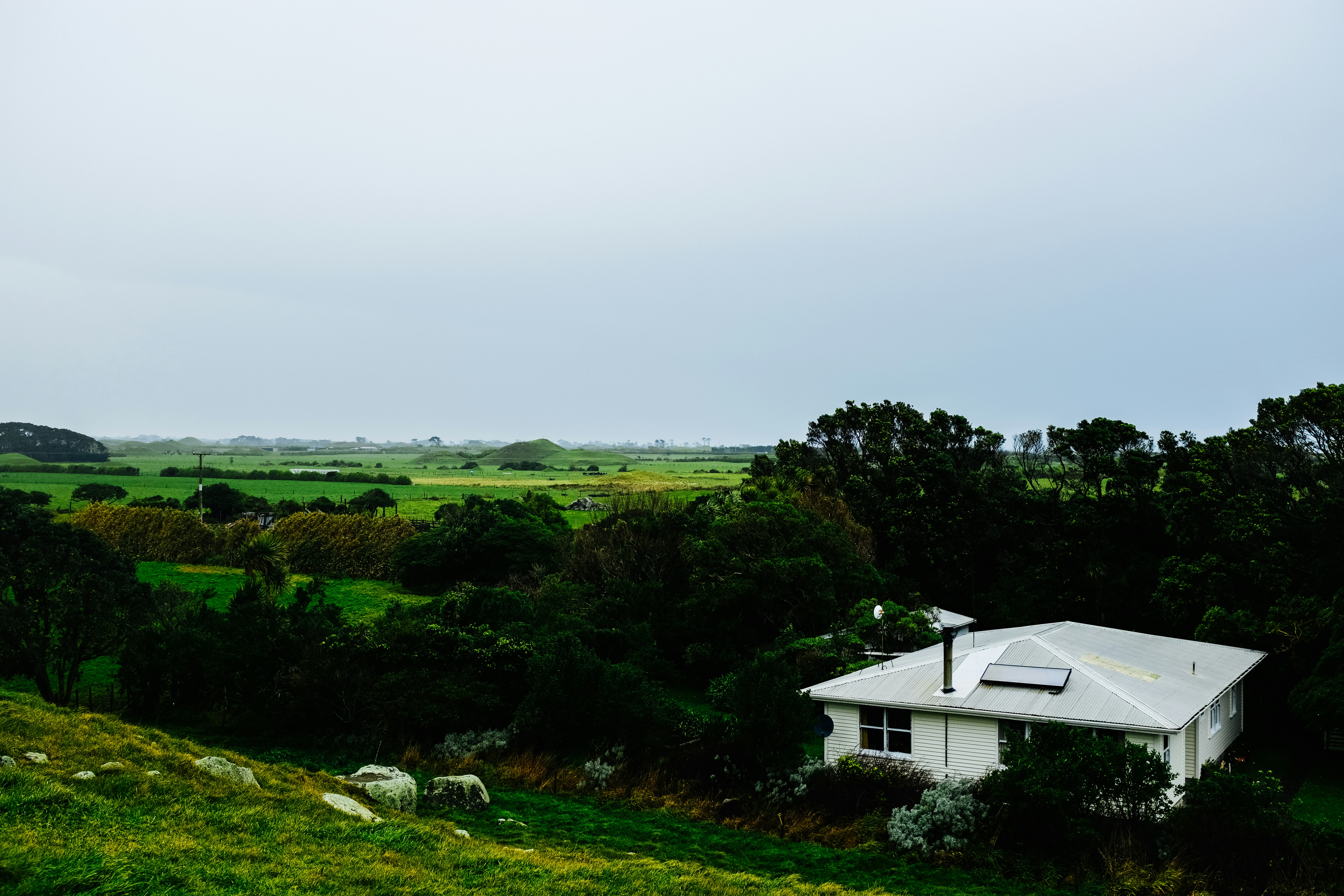 Photo by adrienolichon