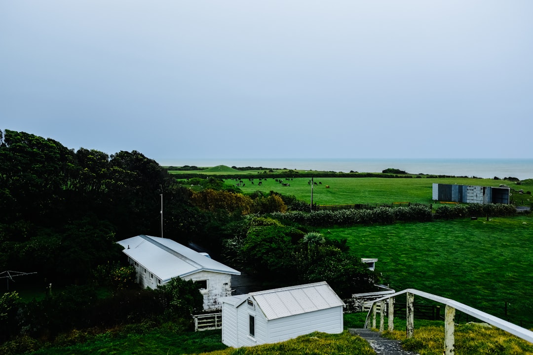 white wooden house on green grass field under white sky during daytime