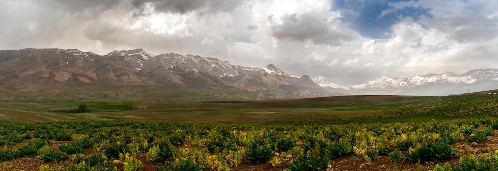 green grass field near mountain under white clouds during daytime