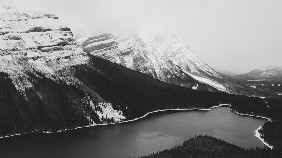 Highland photo spot Peyto Lake Icefields Parkway