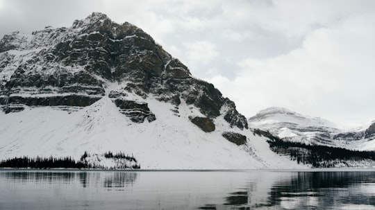 snow covered mountain near body of water during daytime in Bow Lake Canada