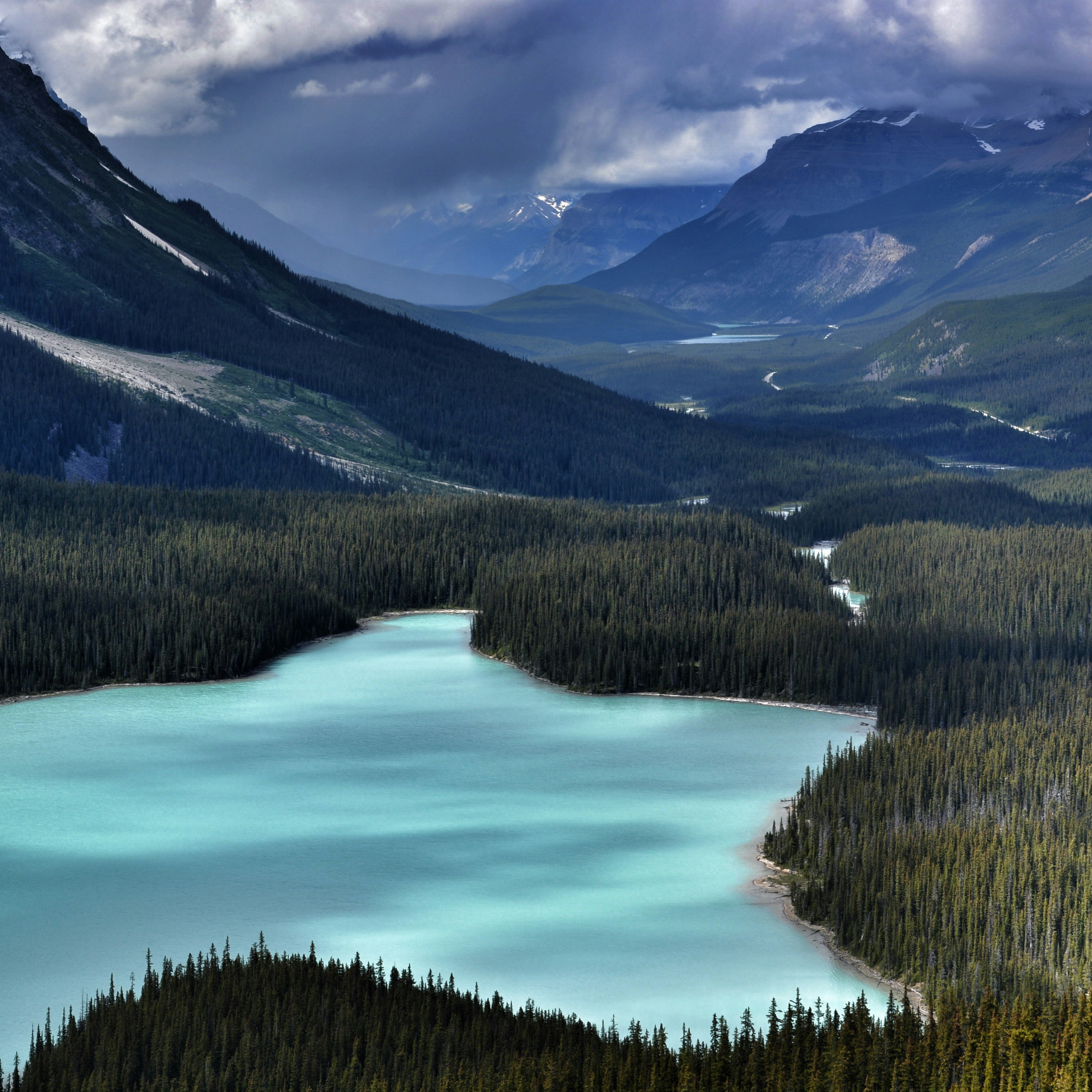 Photo by pedrino5_official