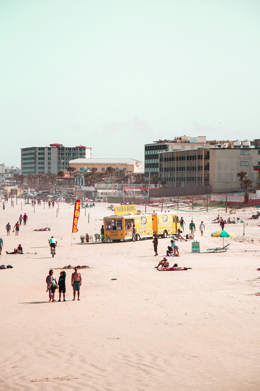 people on beach during daytime