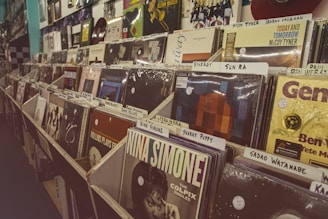 a row of records on display in a store