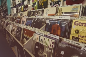 a row of records on display in a store