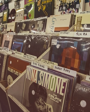 a row of records on display in a store