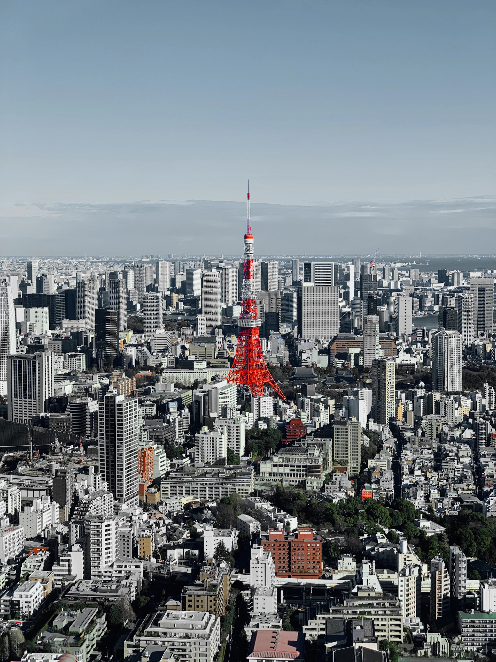 aerial view of city buildings during daytime