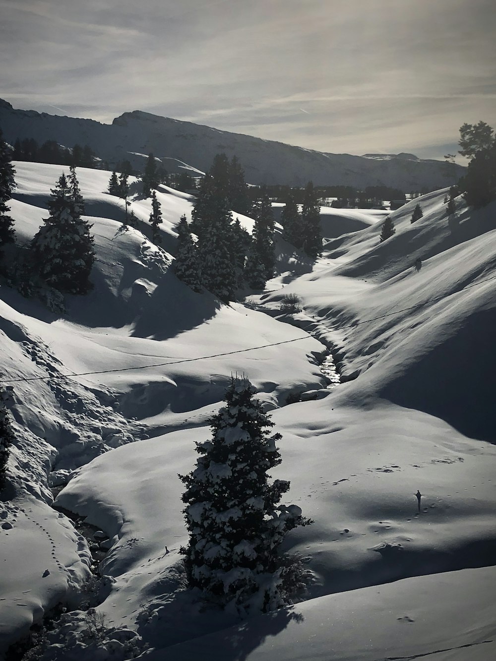 alberi verdi sulla montagna coperta di neve durante il giorno