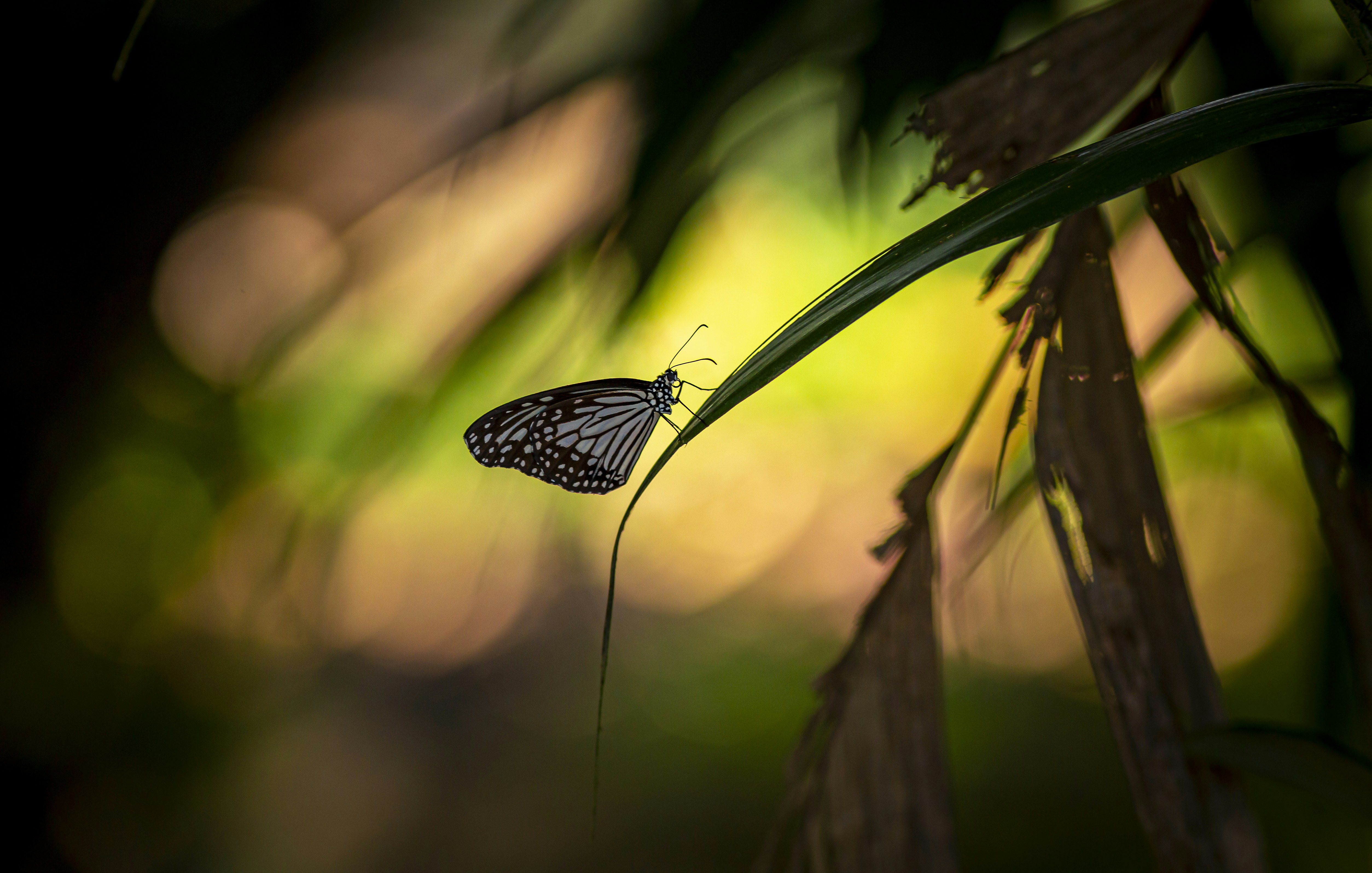 Photo by erik_karits