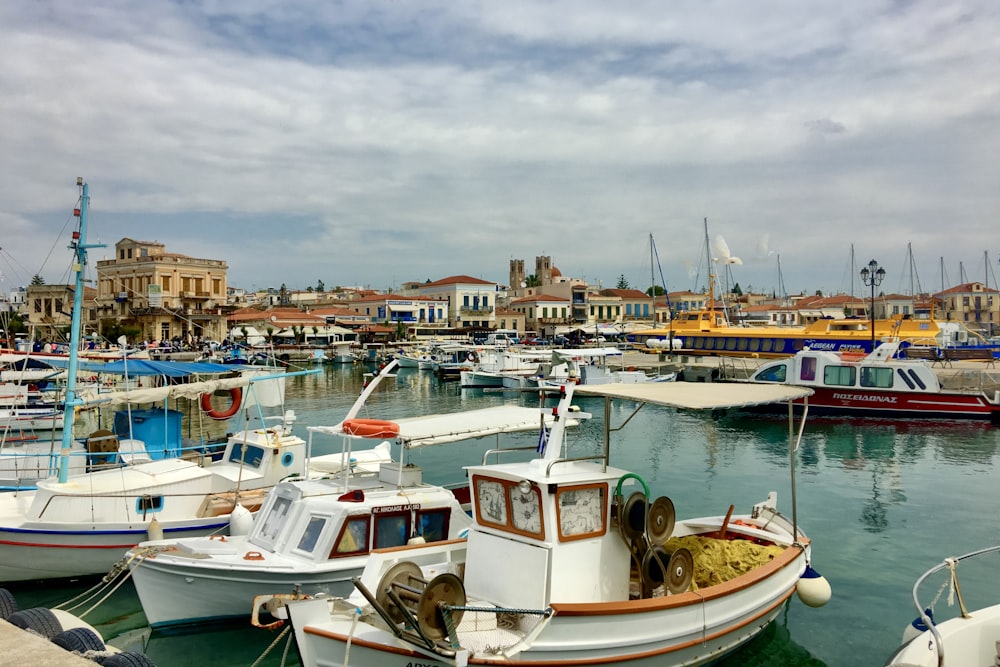 white and brown boat on dock during daytime