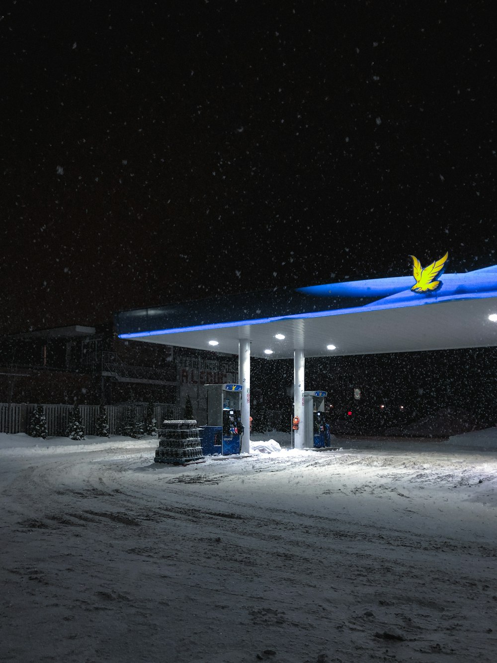 blue and white tent on snow covered ground during night time