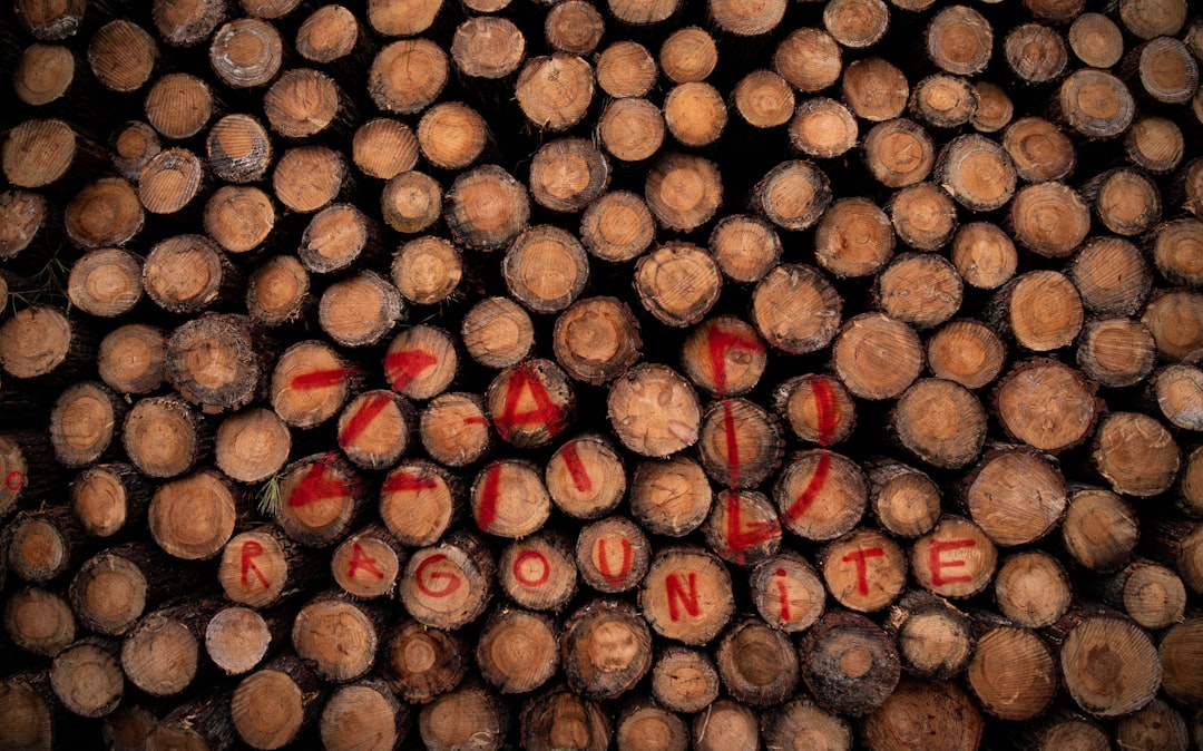 pile of brown wooden logs