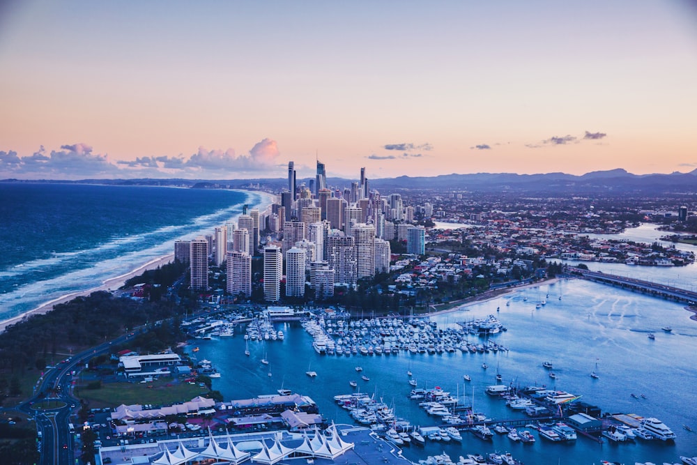 aerial view of city buildings near body of water during daytime