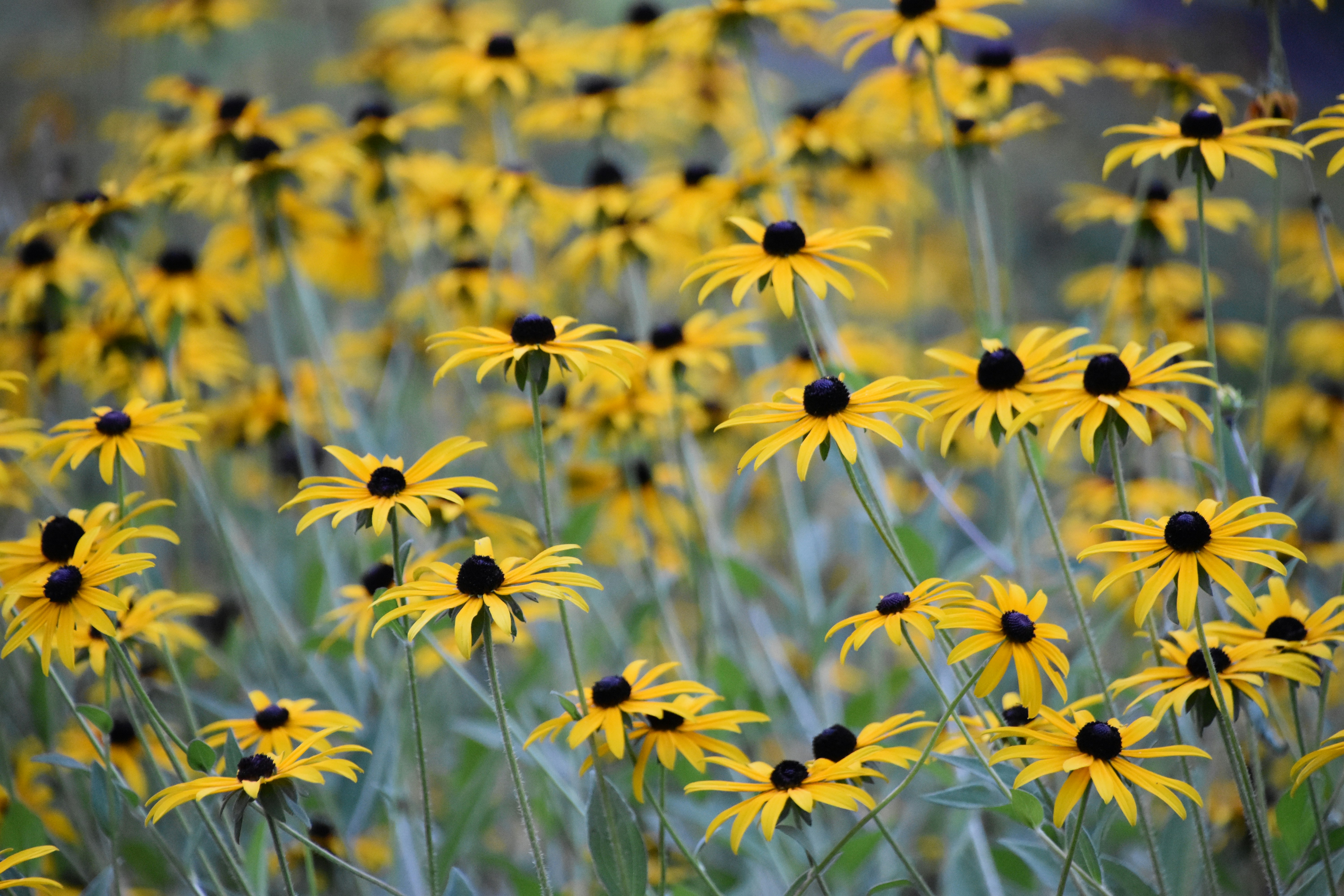 Photo by cindie_photographer