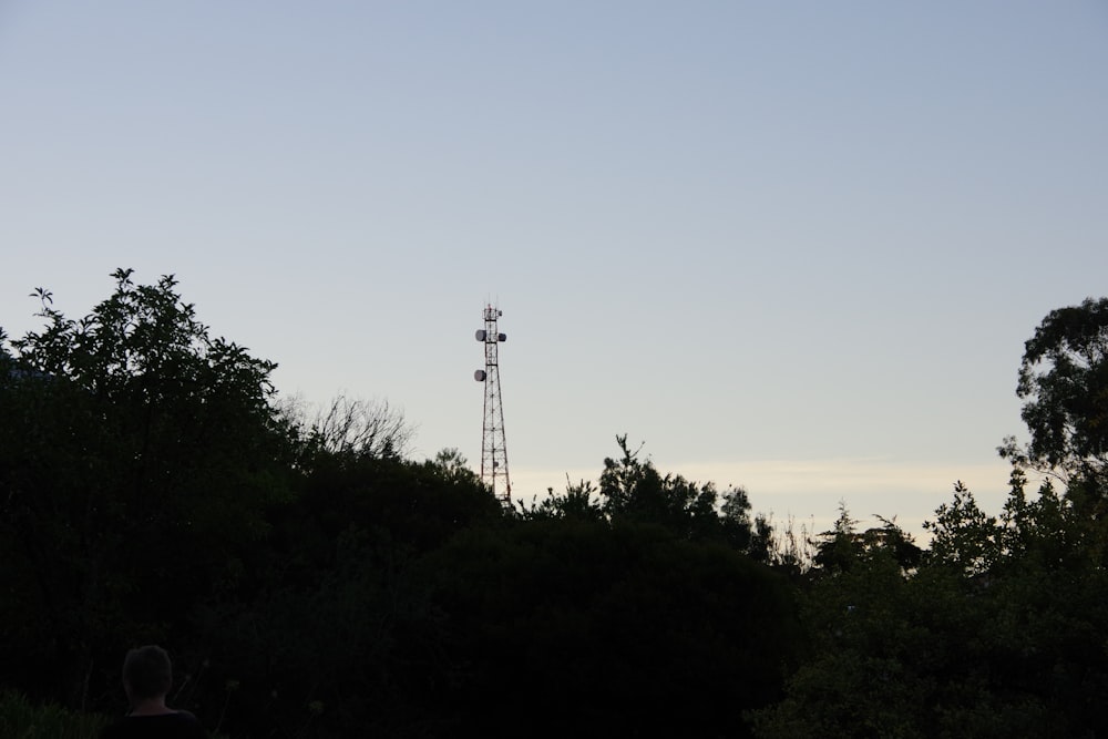 Grüne Bäume unter blauem Himmel tagsüber