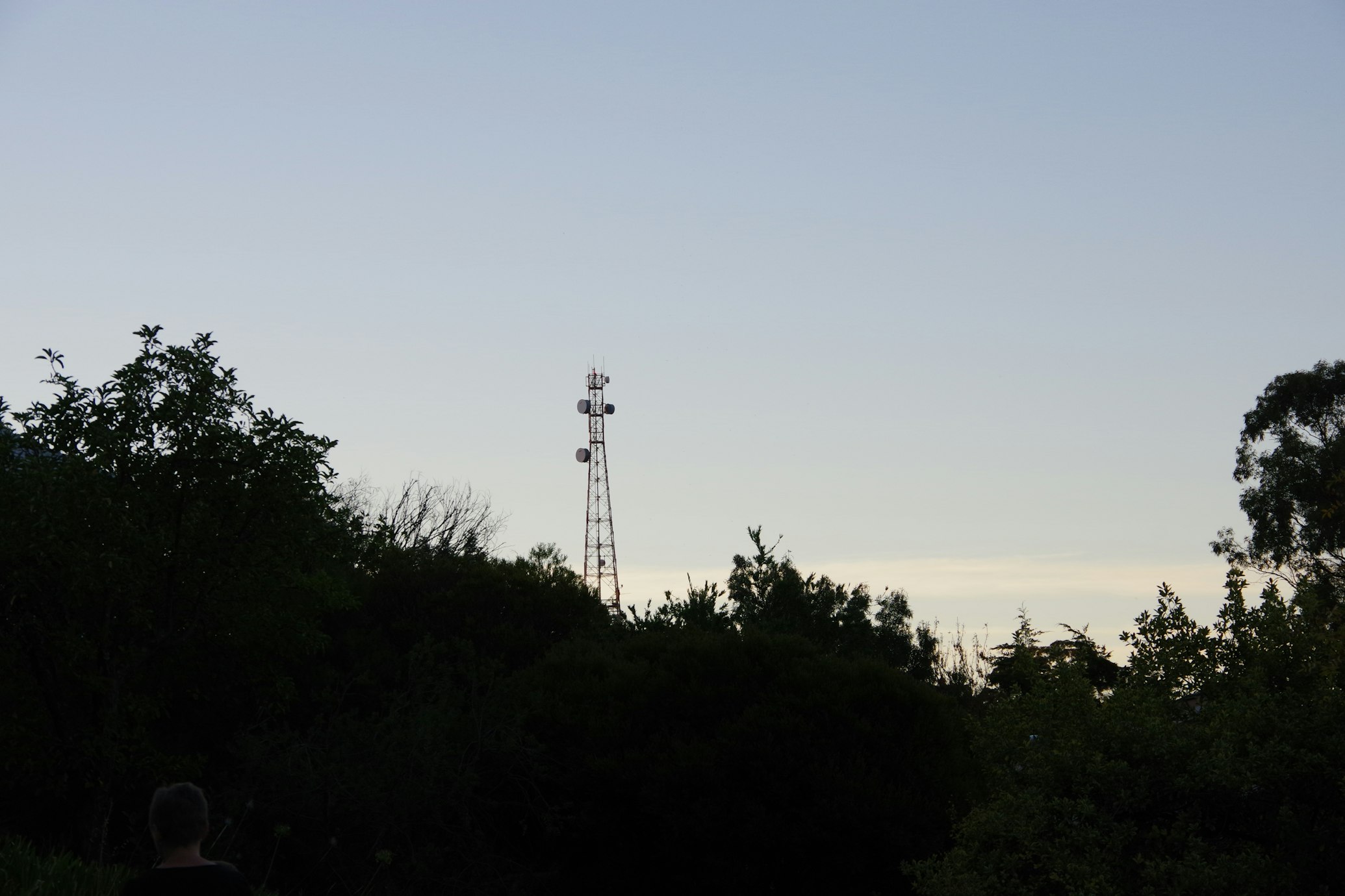 A cell tower (Nadir sYzYgY via Unsplash)