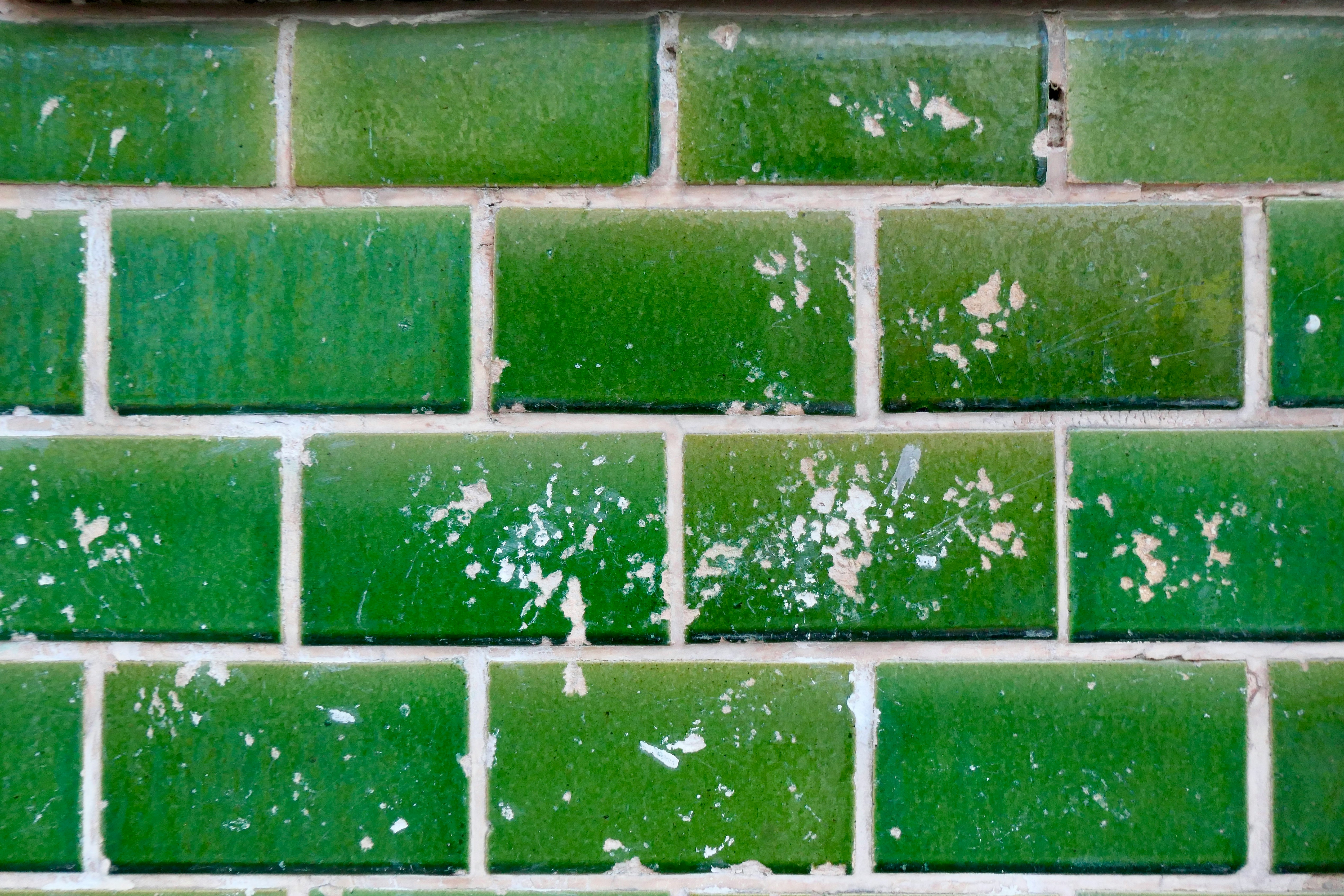 green and white brick wall