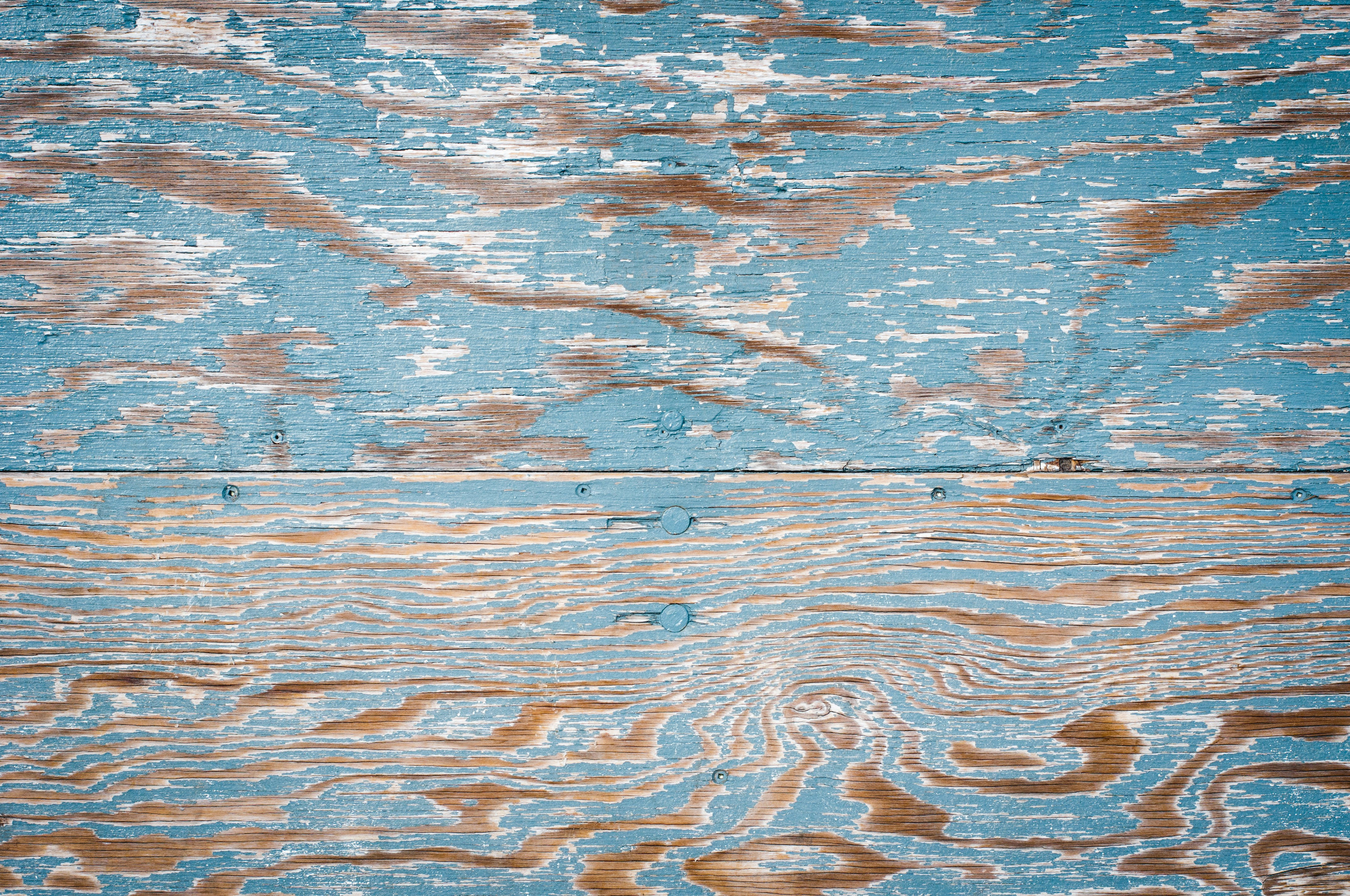 Photo by aidamarie_photography