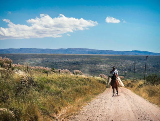 person riding horse on road during daytime in Córdoba Argentina