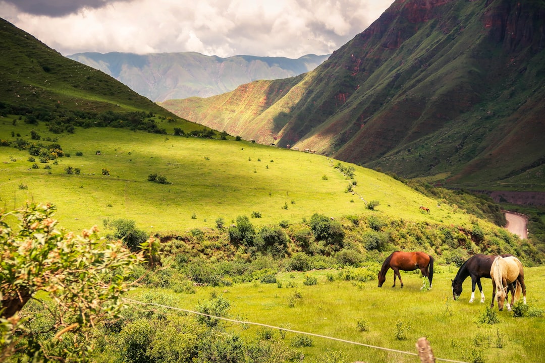 Hill photo spot Salta Jujuy