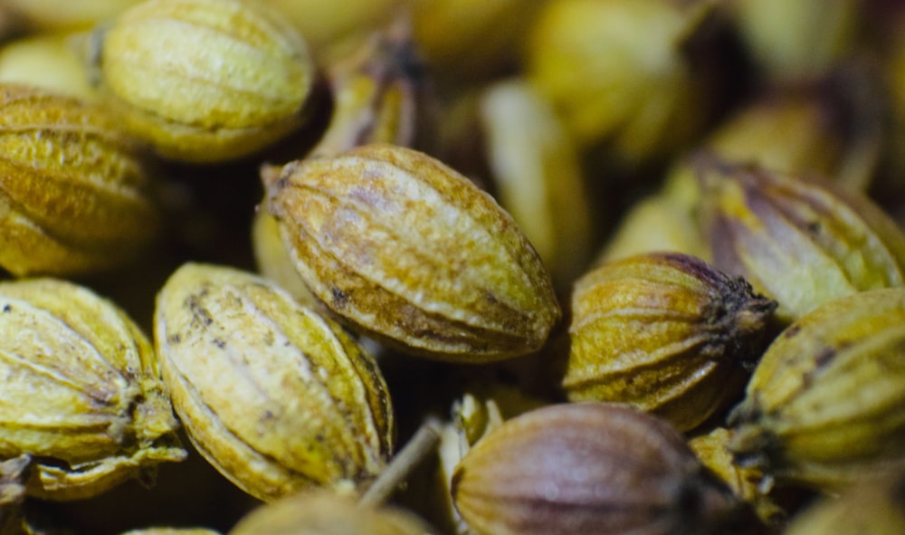 green and brown round fruit