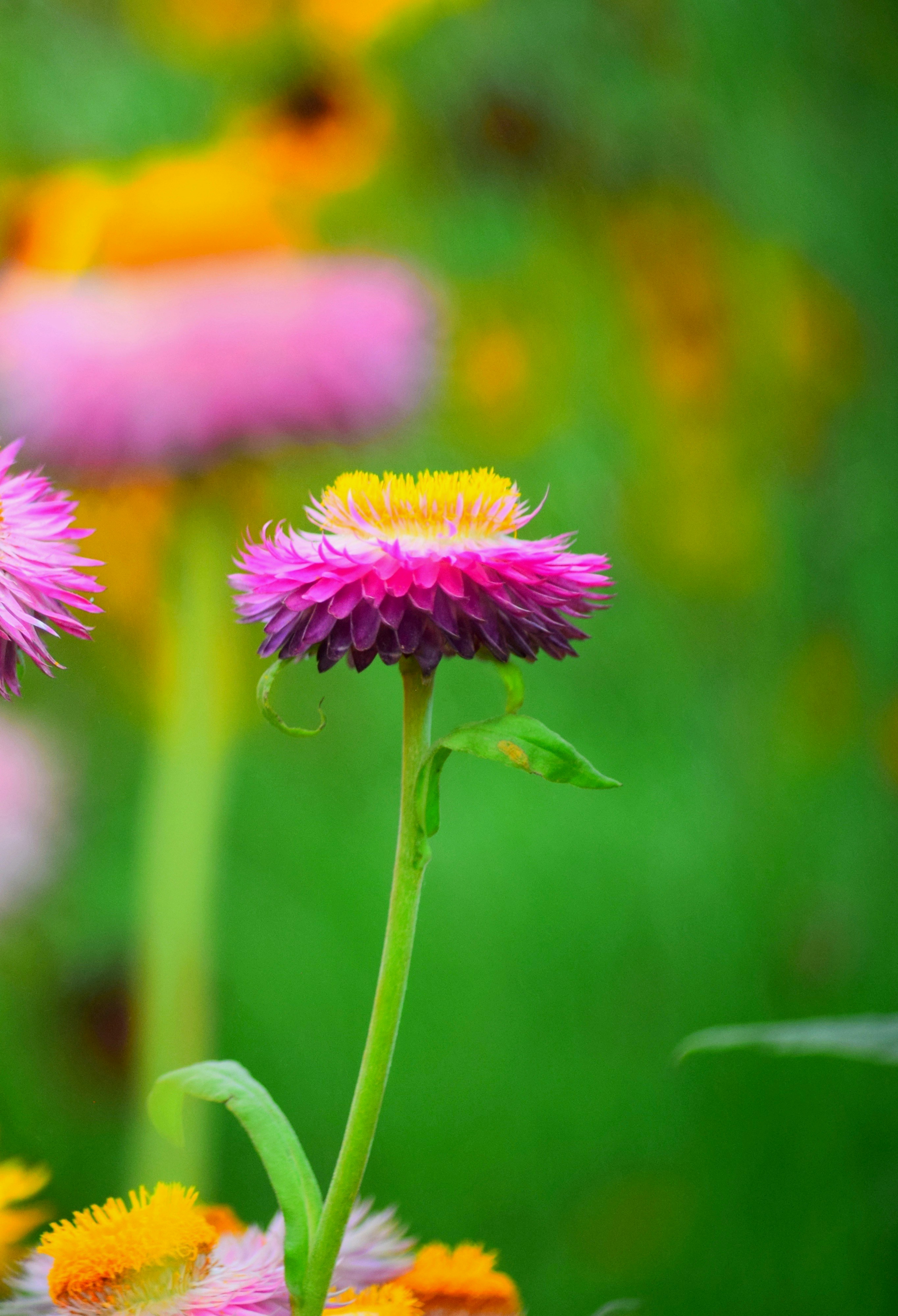 Photo by rrajputphotography