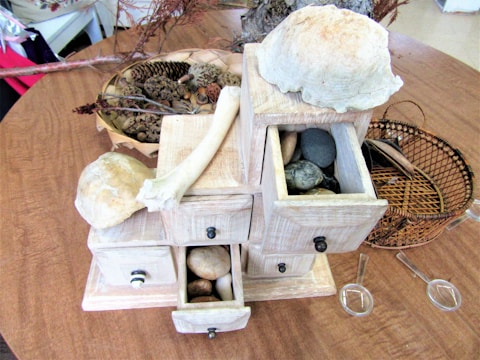 A set of small, rustic wooden drawers sits on a wooden table, each filled with various natural objects like stones and shells. On top of the drawers are additional shells and a large bone. Nearby, there is a basket filled with pine cones and other natural items. A couple of magnifying glasses are laid on the table.