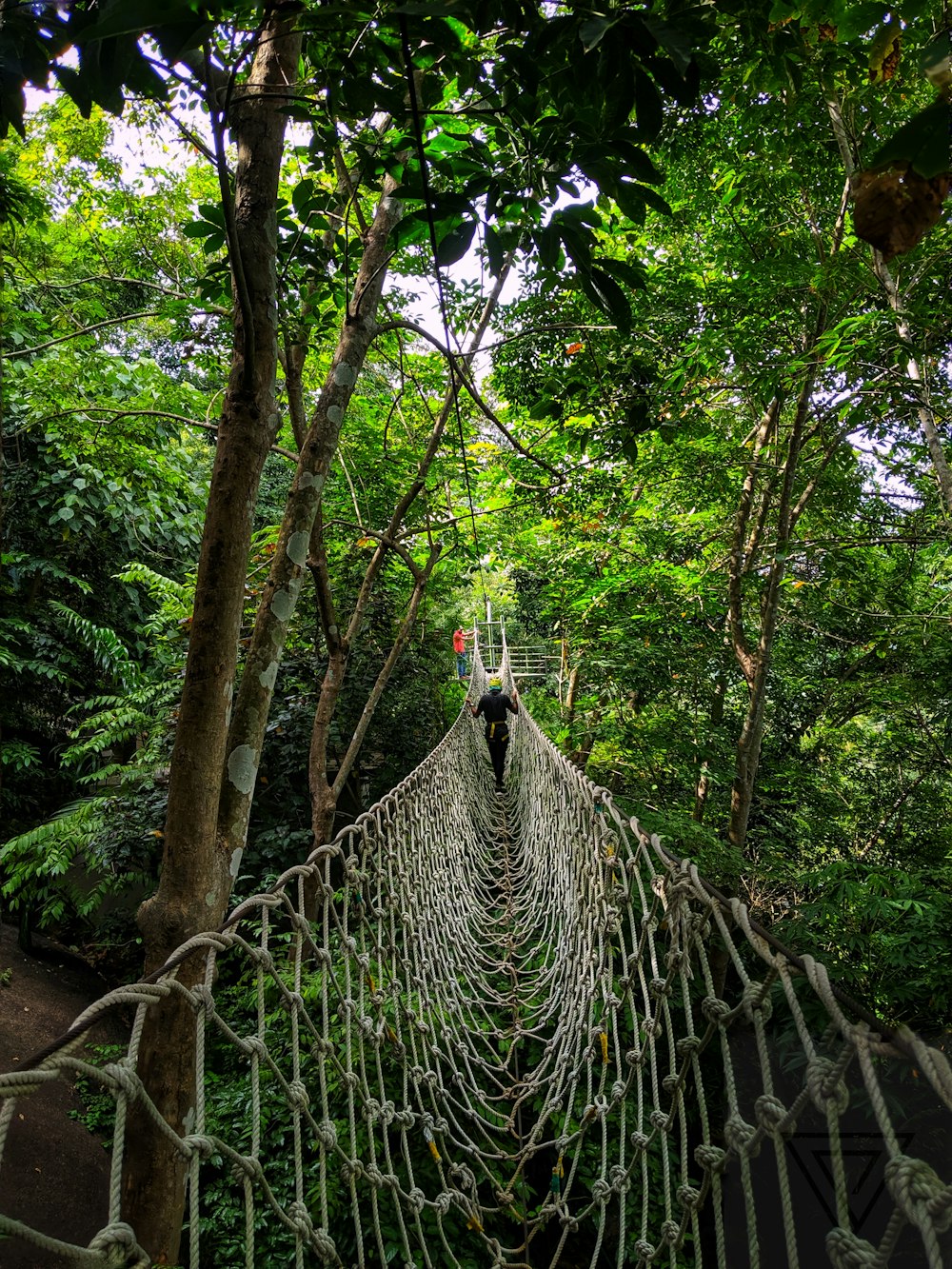 person in black jacket walking on hanging bridge