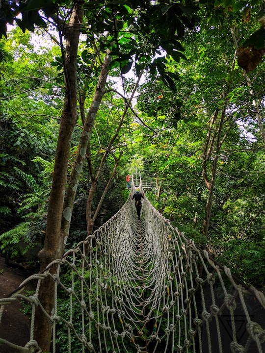 person in black jacket walking on hanging bridge in Trivandrum India