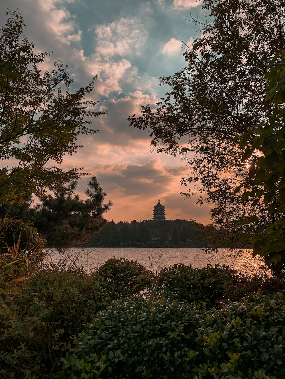 green trees near body of water under cloudy sky during daytime