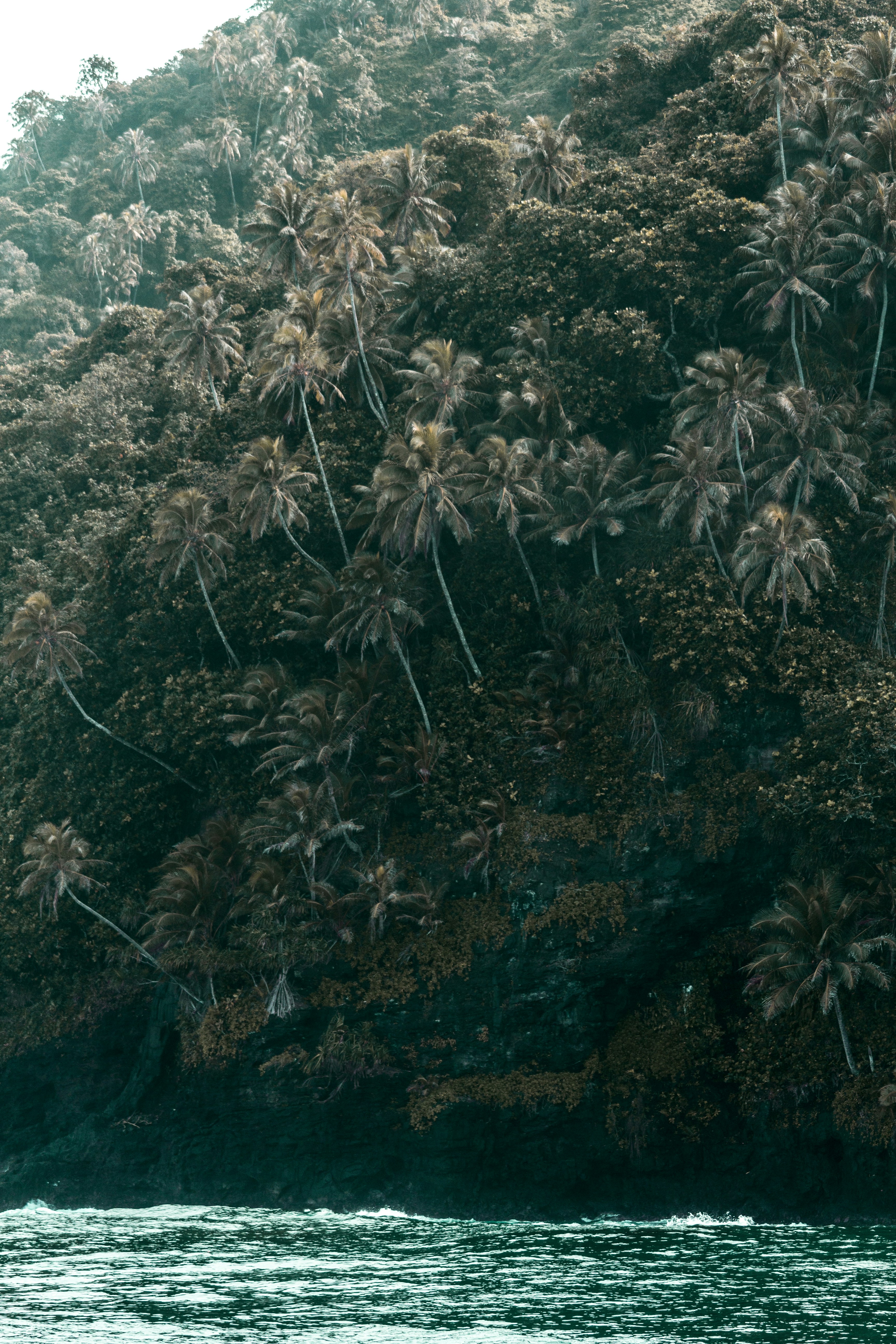 Photo by williamssroger