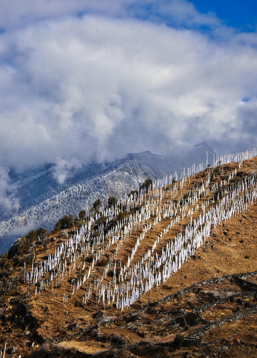 Hill photo spot Lachung Sikkim