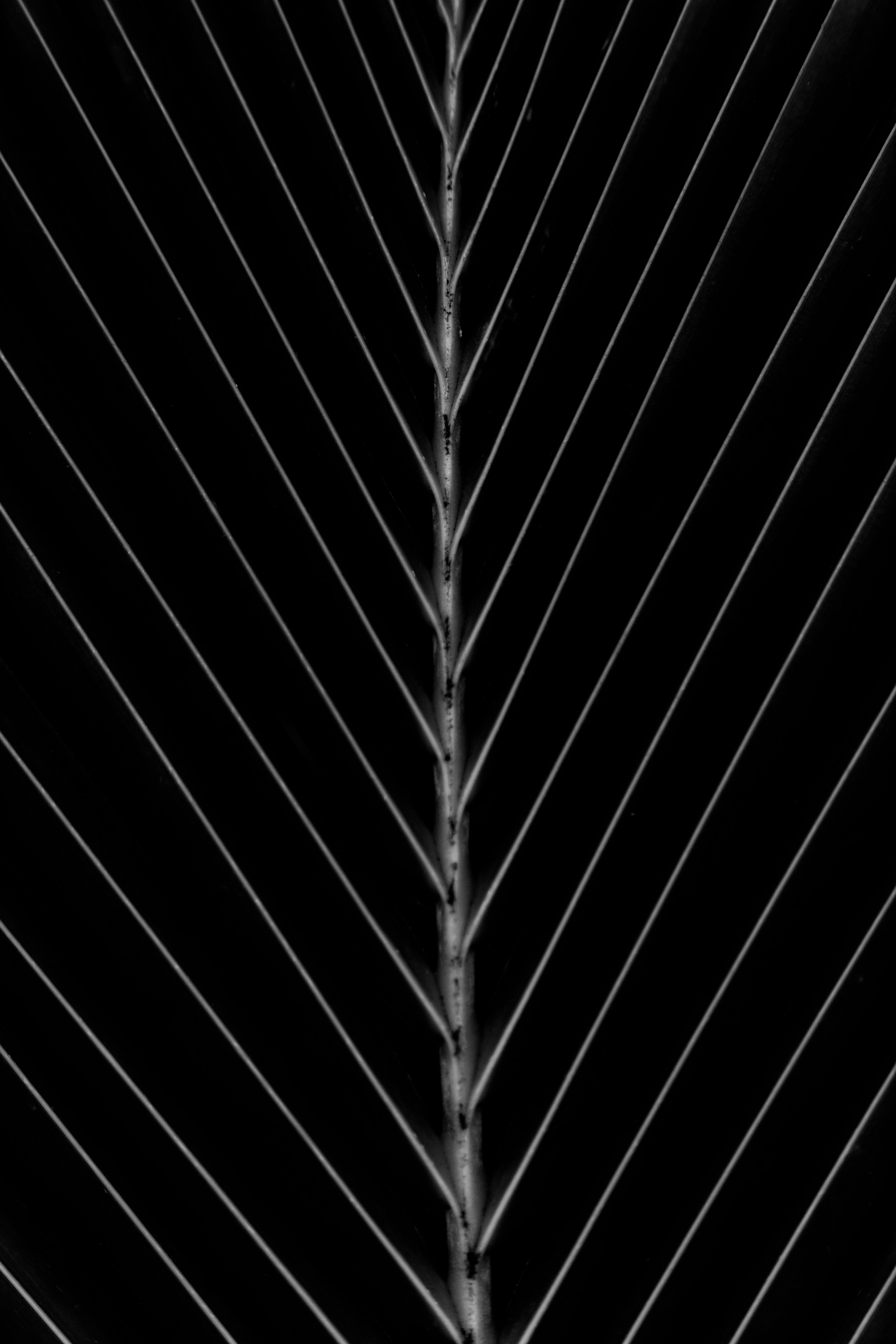 Photo by williamssroger